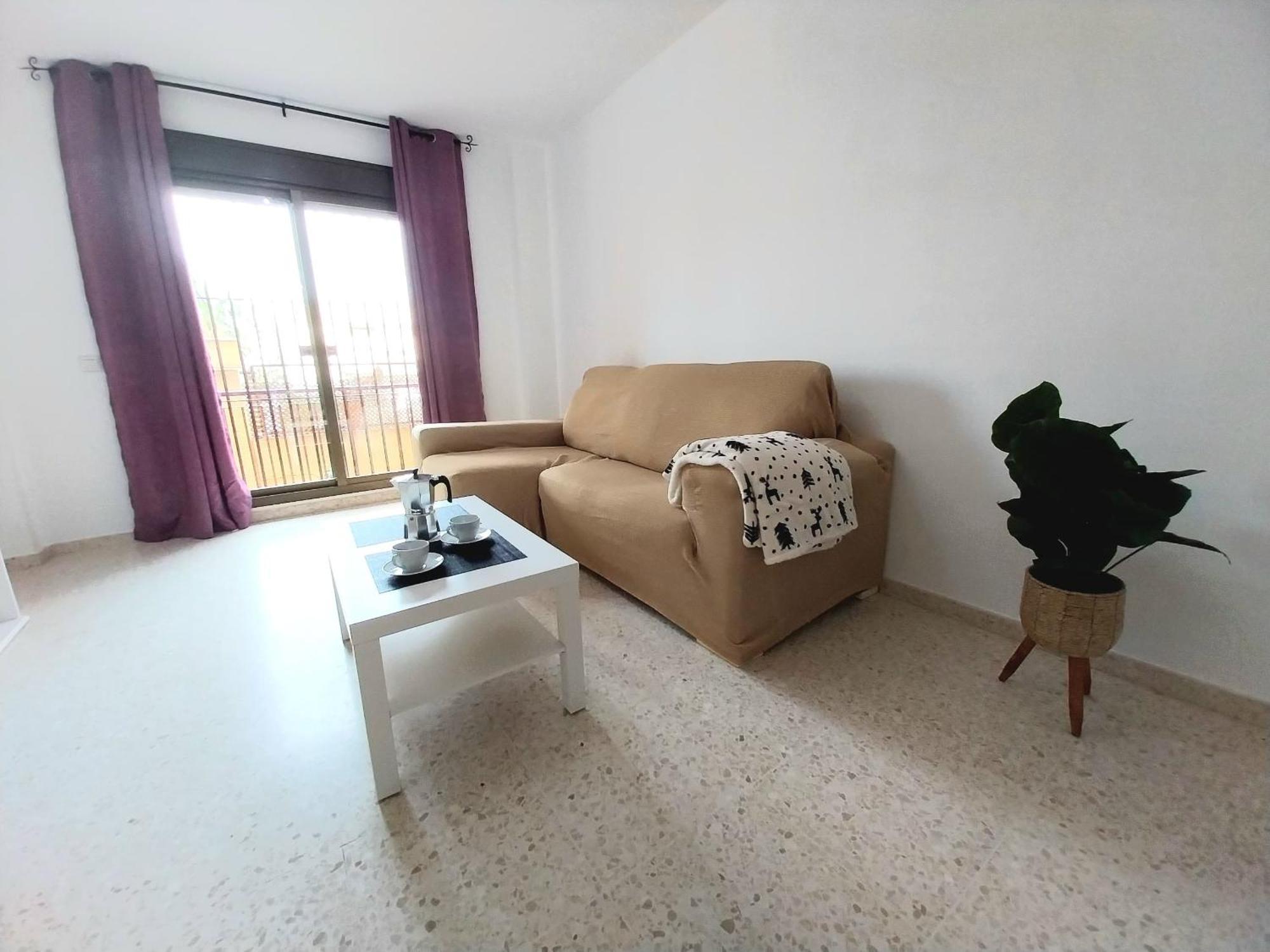 Top Suite Apartment Jerez Jardin Y Patio Jerez de la Frontera Ngoại thất bức ảnh
